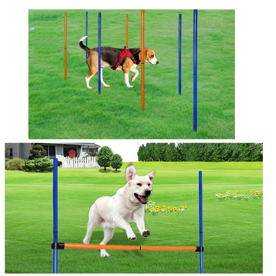 Dog Agility Obstacle Training Equipment