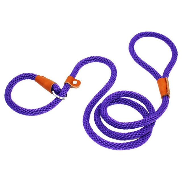 No Pull Adjustable Dog Leash