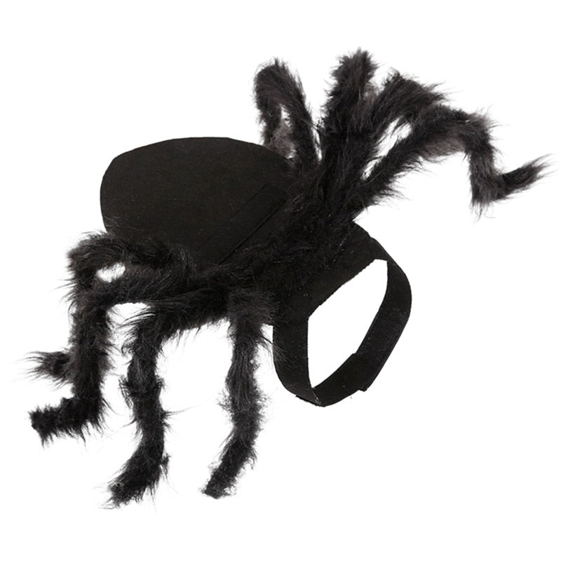 Halloween Black Spider Pet Costume