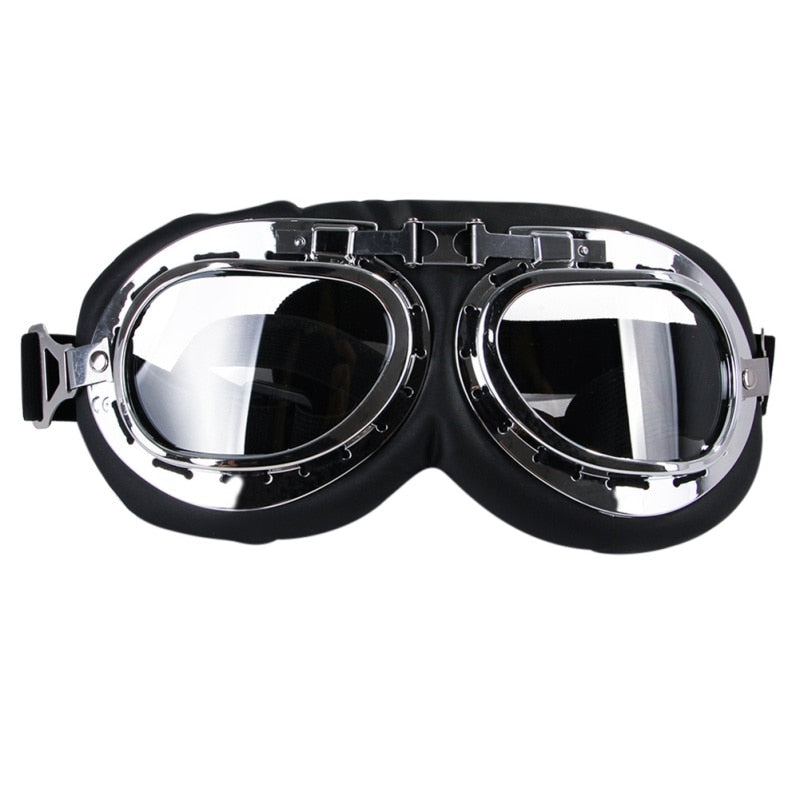 Stylish Skiing Dog Goggles