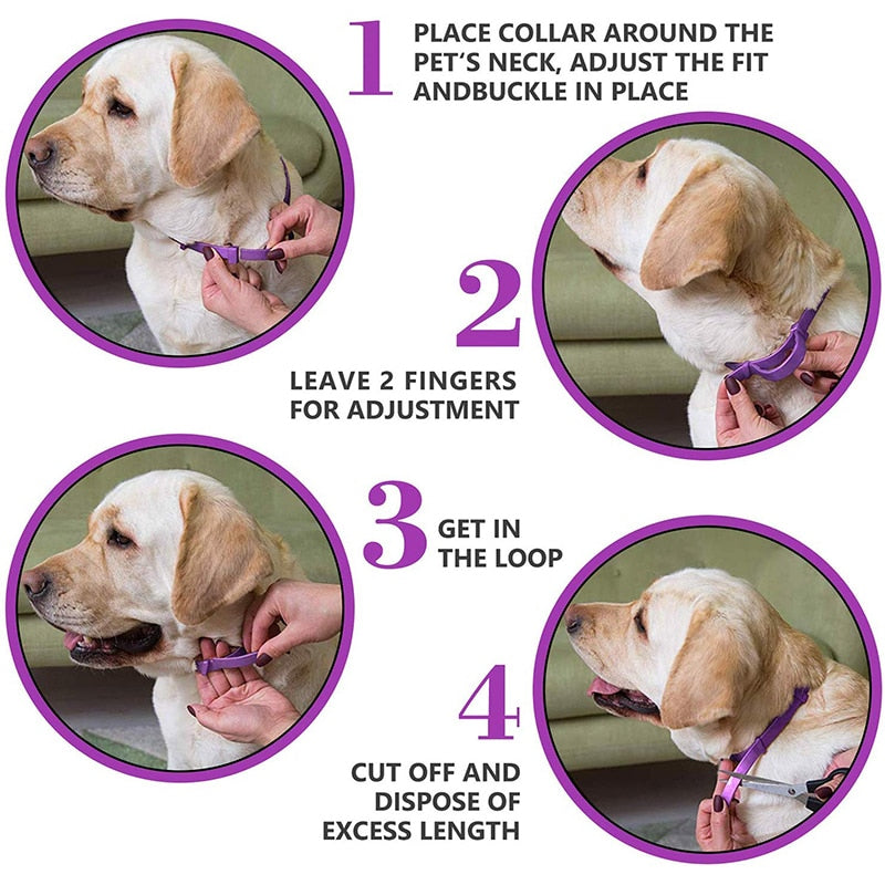 Effective Safe Calming Pet Collar