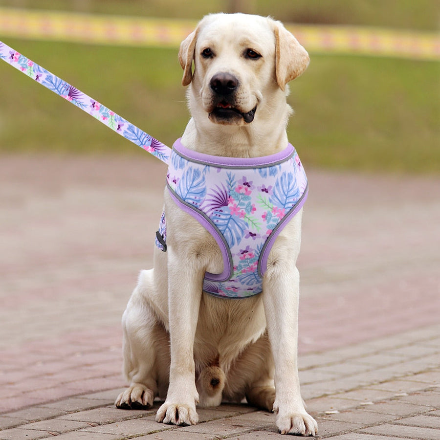 Fashion Reflective Dog Harness Set