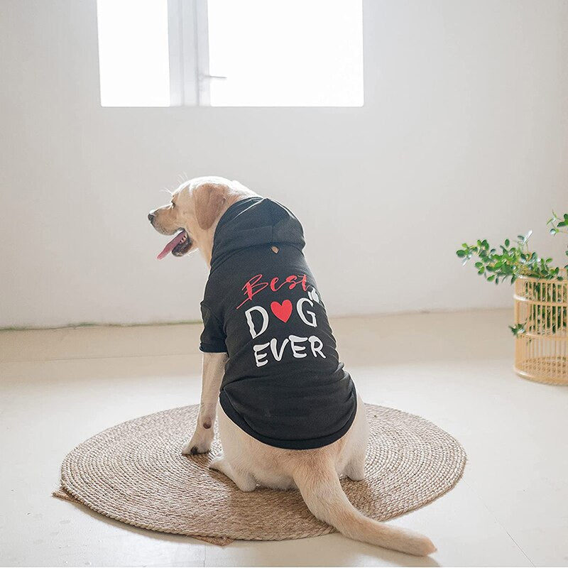 Fashion Print Stylish Dog Hoodie