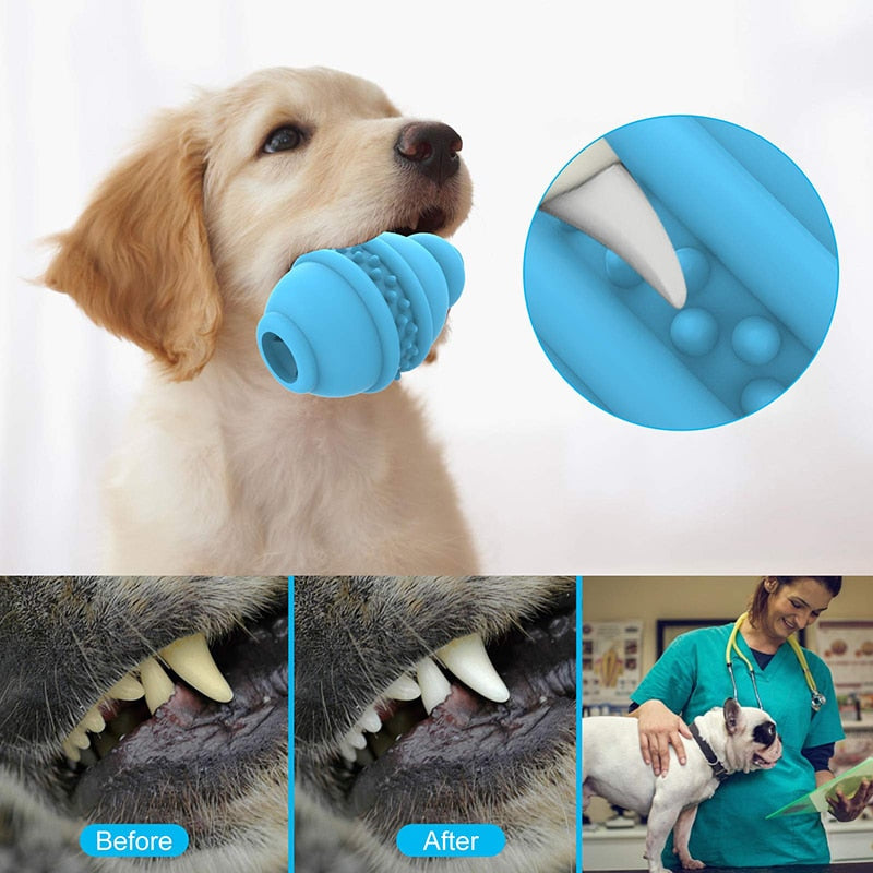 Durable Food Dispensing Dog Ball