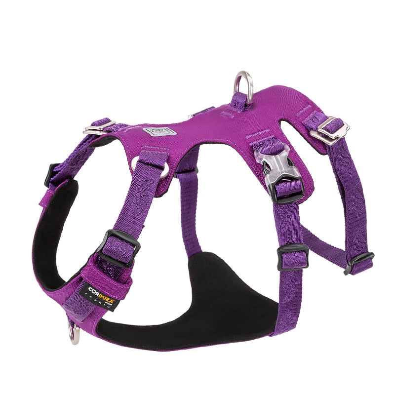 Double H Shape Embroidery Dog Harness