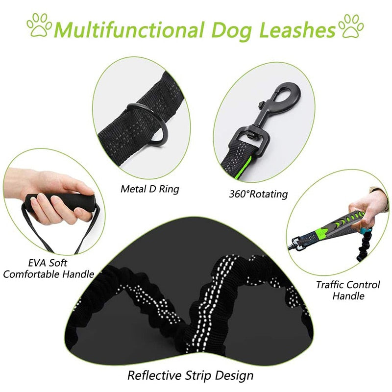 Short Distance Control Bungee Dog Leash