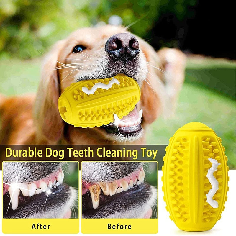 4 In 1 Squeaker Dog Chew Toys