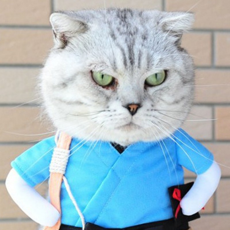 Funny Samurai Pet Costume