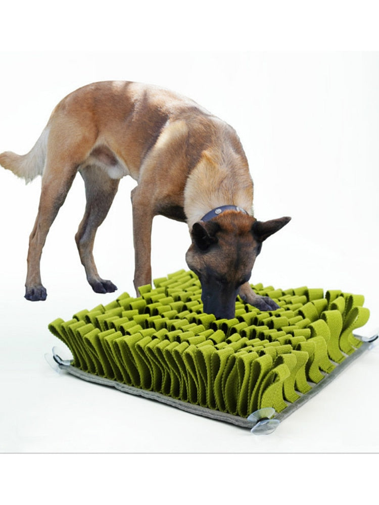 Unique Snack Feeding Dog Snuffle Mat