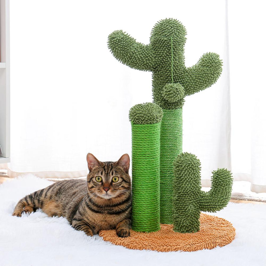 Sisal Rope Cactus Cat Scratcher