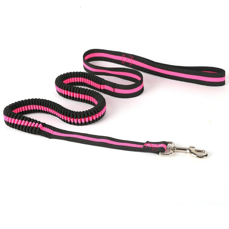 High Elastic Bungee Dog Leash