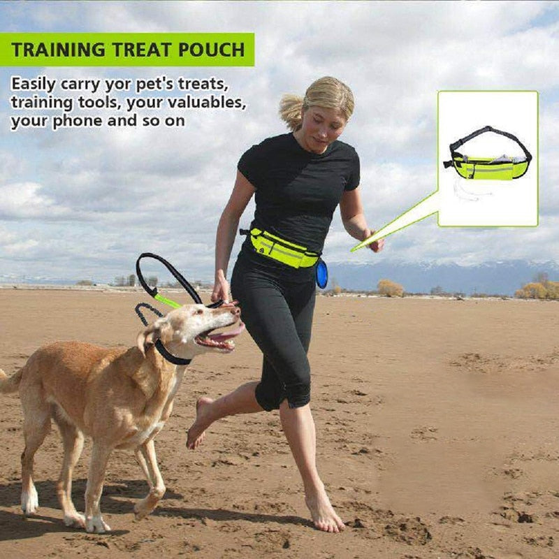 Handsfree Bungee Dog Leash With Pocket