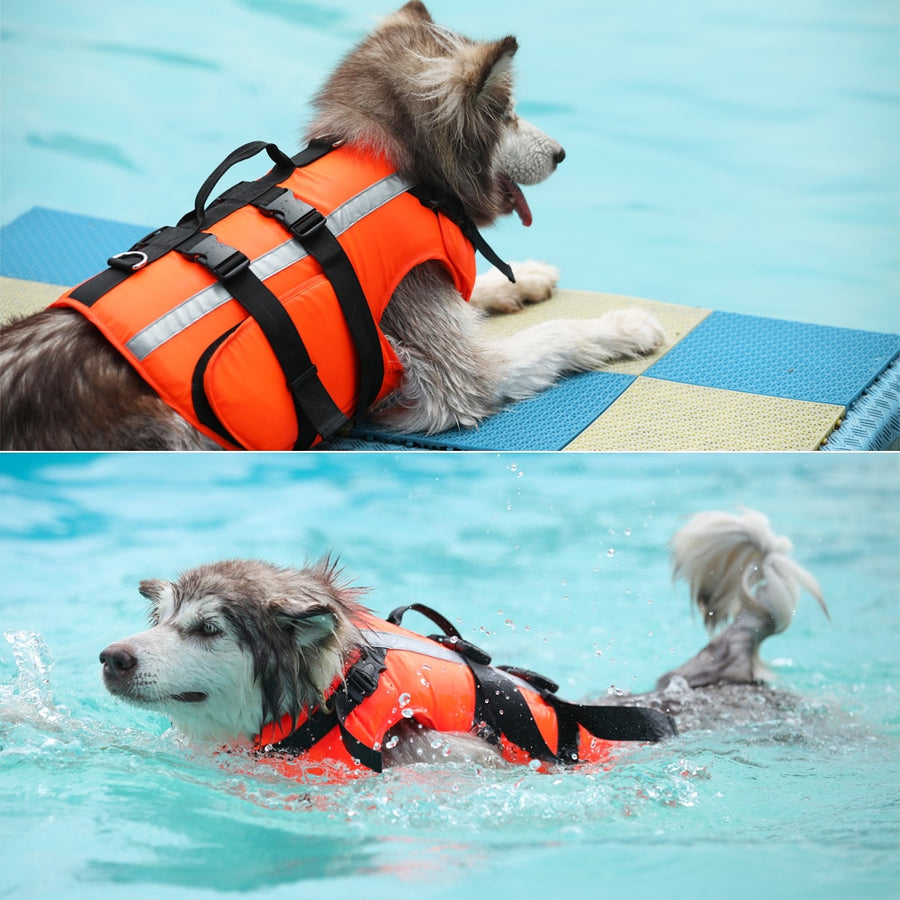 Summer Cooling Pet Dog Life Jacket