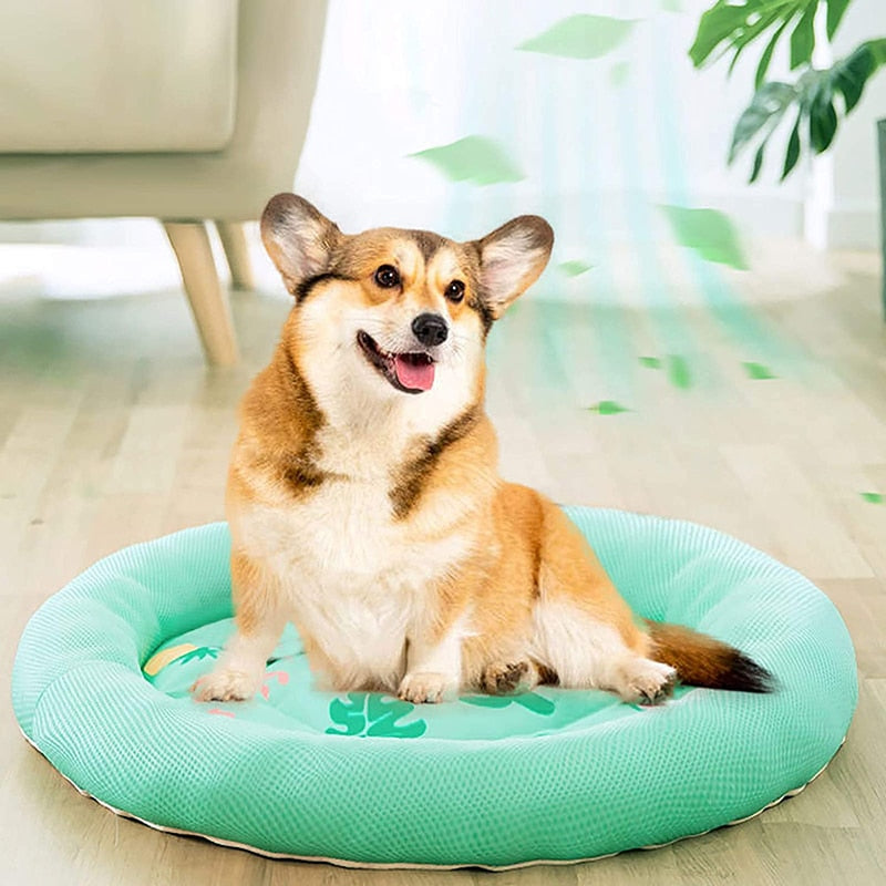 Soft Ice Silk Mesh Dog Beds