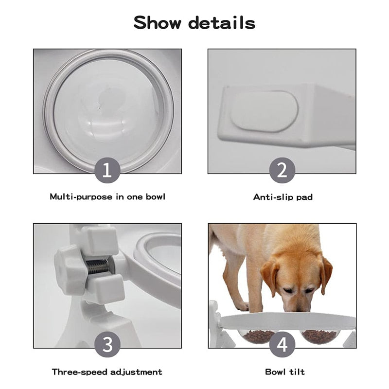 Tilted Angle Elevated Dog Bowl