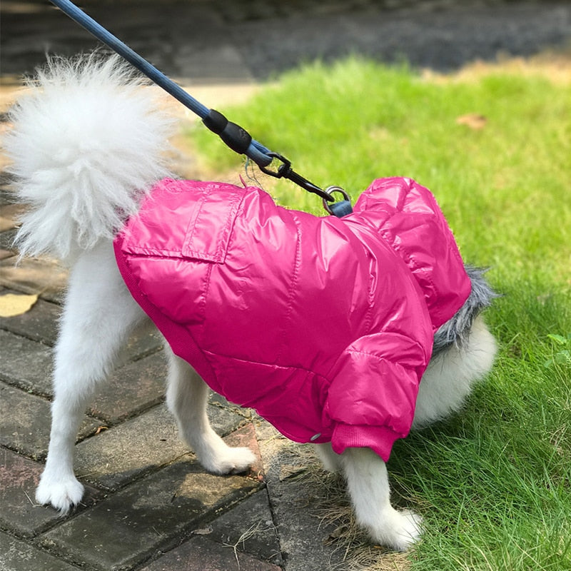 Windproof Padded Warm Dog Winter Coat