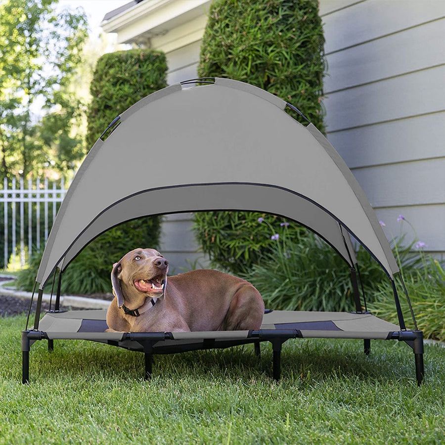 Raised Pet Bed With Canopy