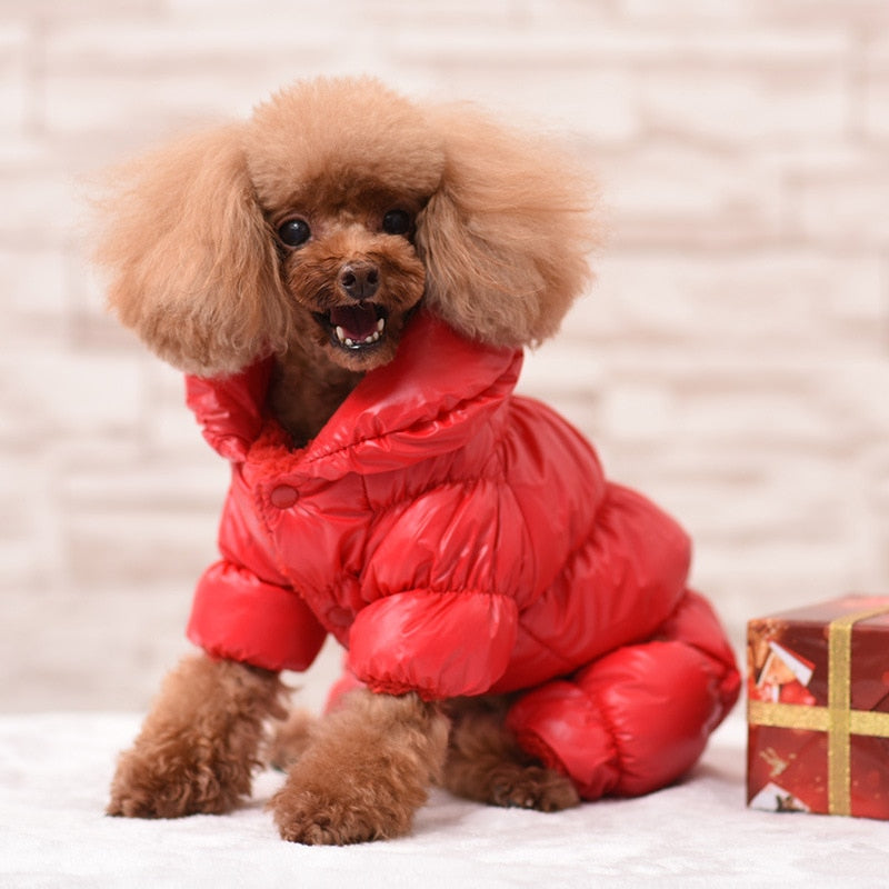 Fashion Windproof Winter Dog Clothes