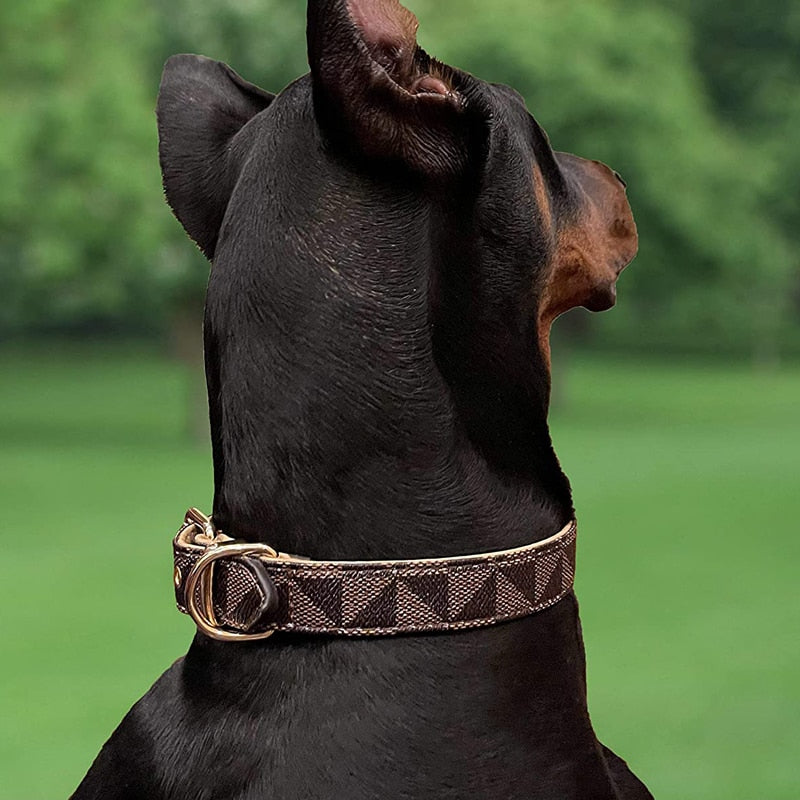 Luxury Designer Leather Dog Collar