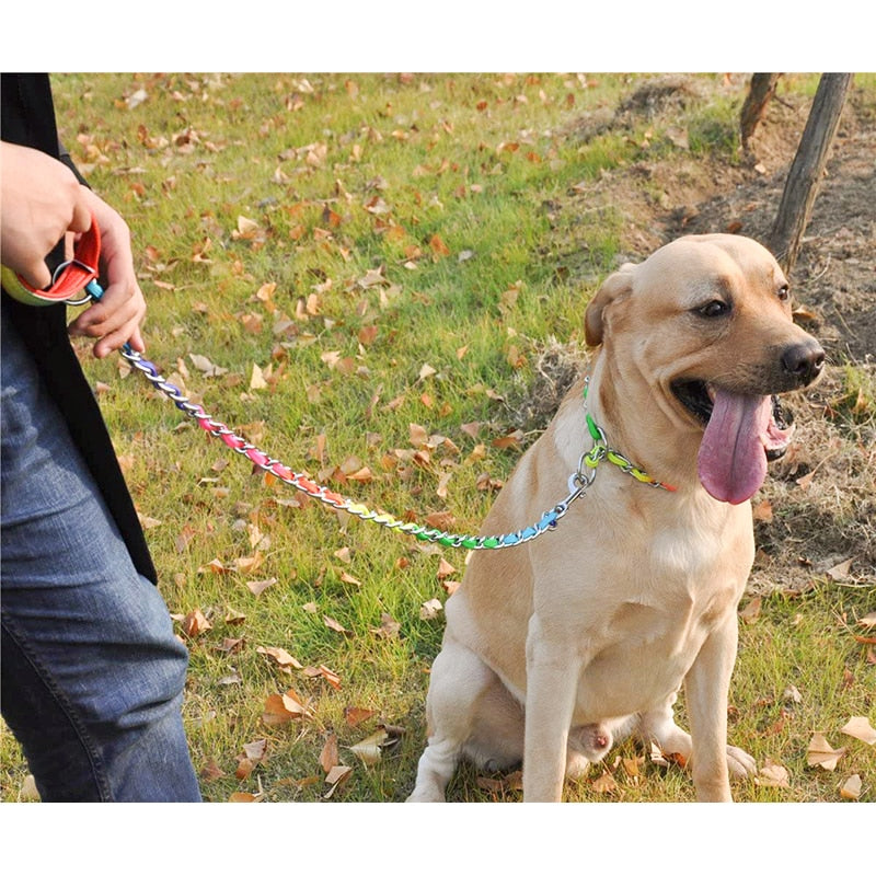 Sturdy Stainless Steel P Choke Dog Collar