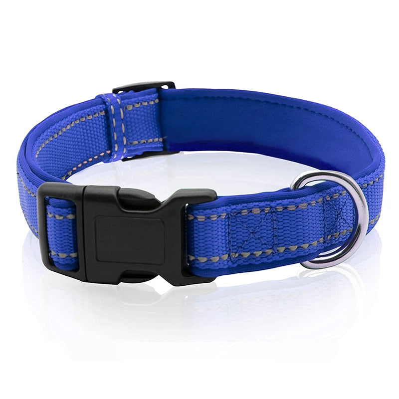 Neoprene Padded Solid Dog Collar