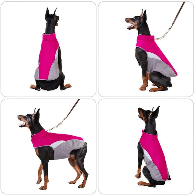 Windproof Reflective Warm Dog Coat