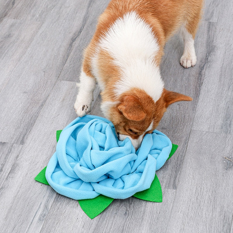 Blue Rose Flower Dog Snuffle Toy