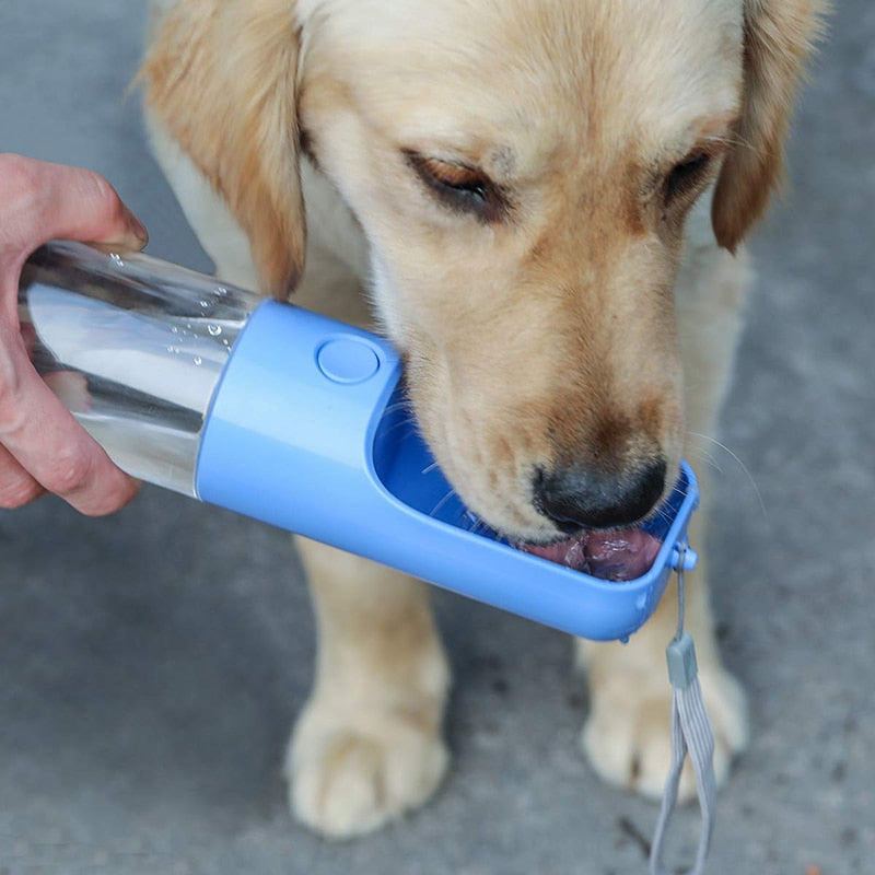 Eco Friendly 450ml Pet Water Bottle