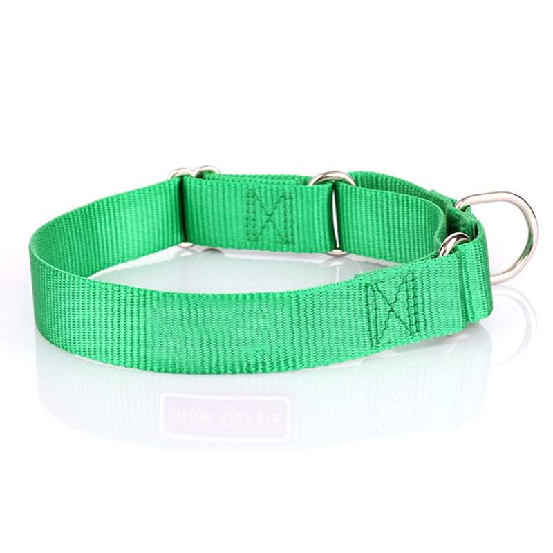 Sturdy Martingale Nylon Dog Collar