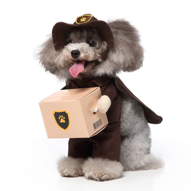 Cute Deliveryman Pets Costume