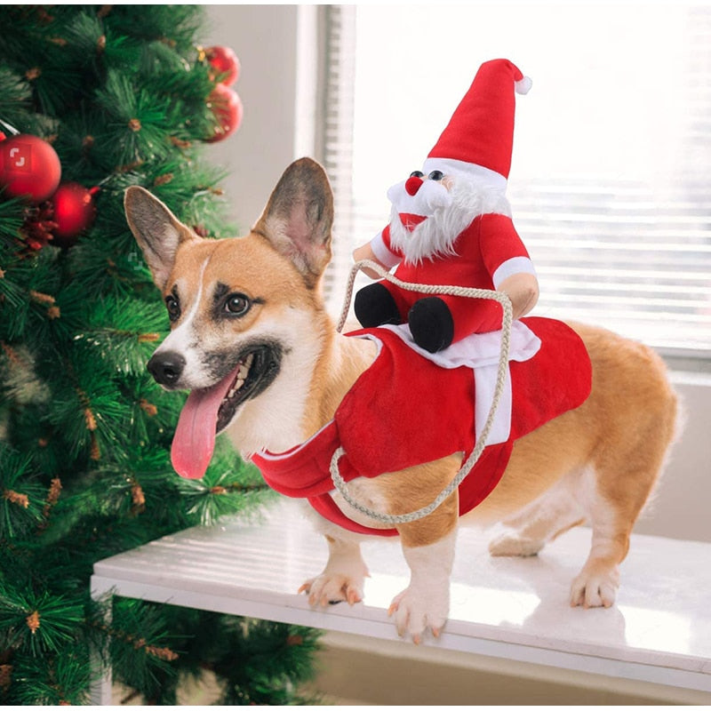 Santa Claus Riding Dog Costume