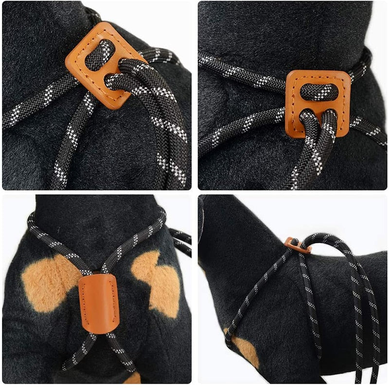 Durable Slip Dog Harness And Leash