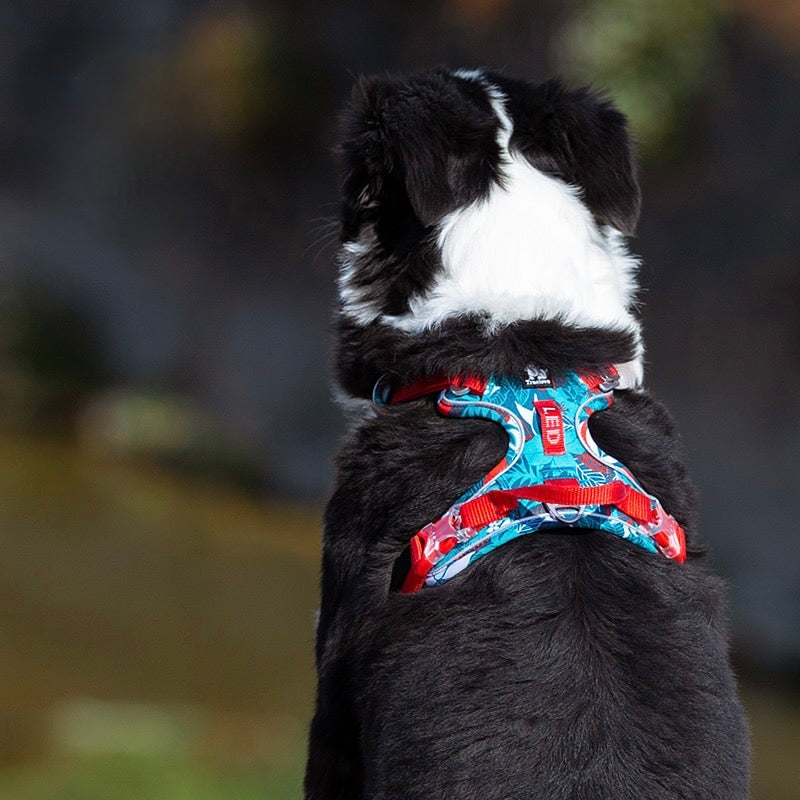 Explosion Proof Camouflage Dog Harness