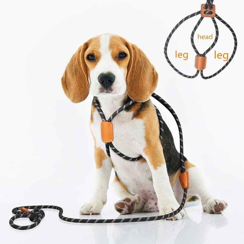 Reflective Lightweight Slip Dog Harness