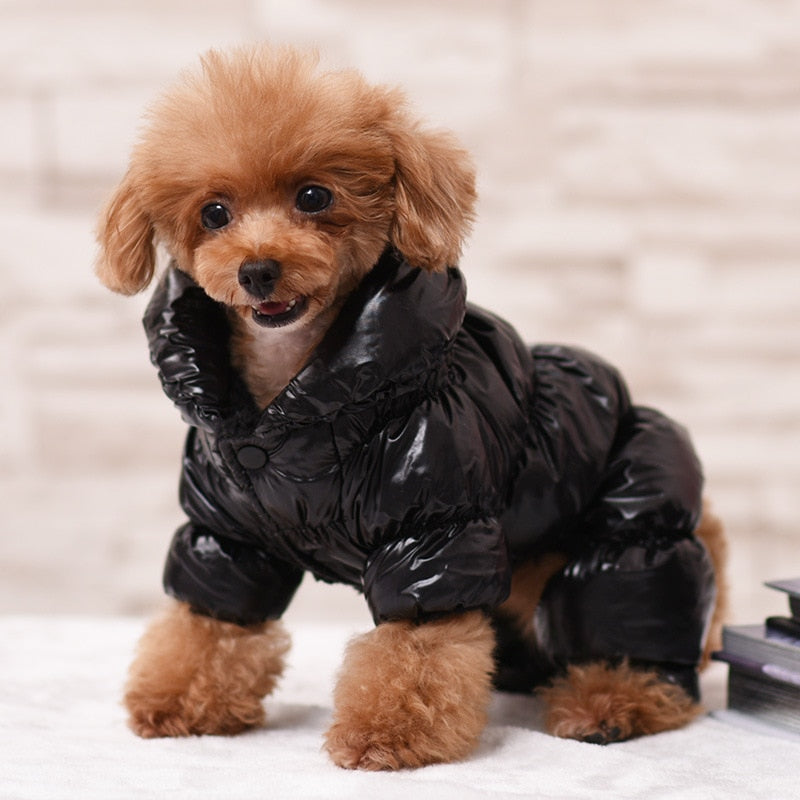 Fashion Windproof Winter Dog Clothes