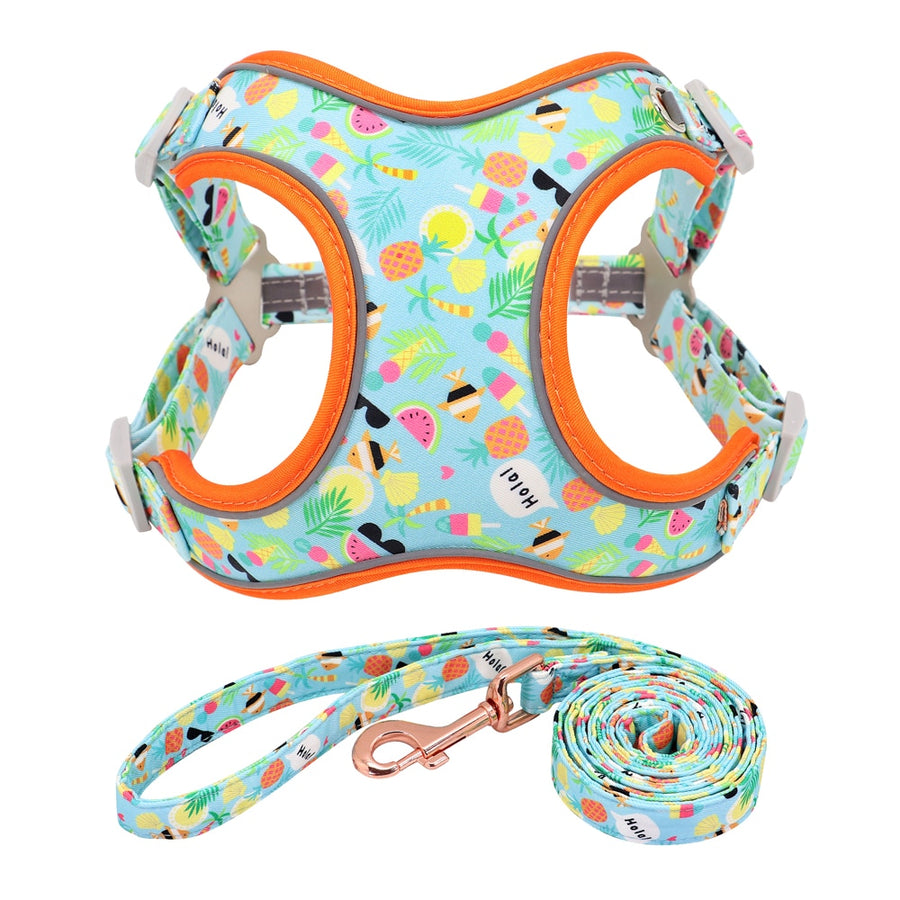 Sweet Candy Dog Harness Set