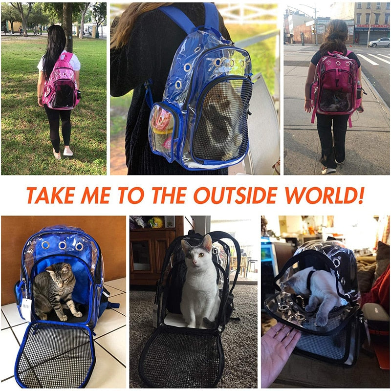 Zipper Mesh Transparent Dog Backpack