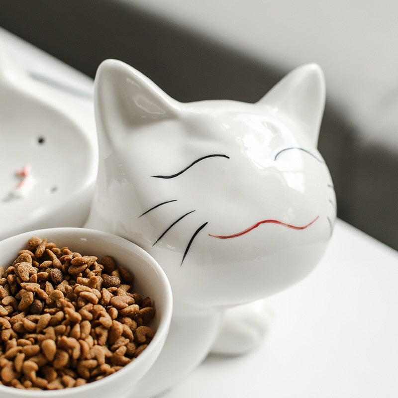 Ceramic Cat Face Water Fountain