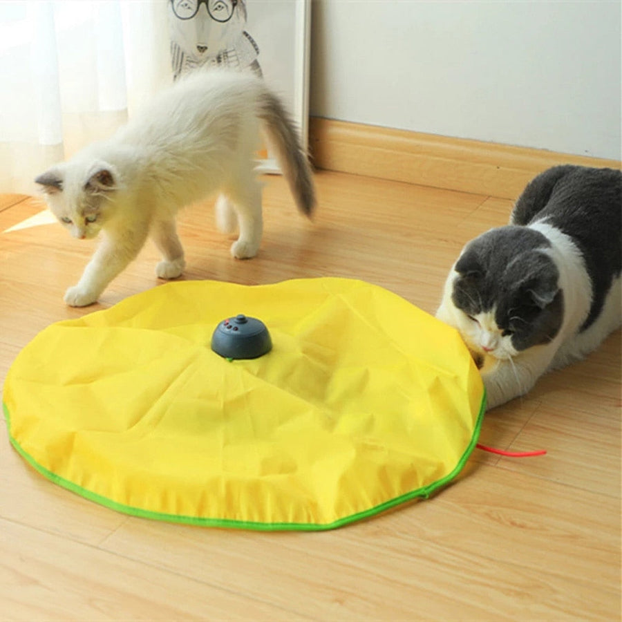 4 Speeds Automatic Funny Cat Toys