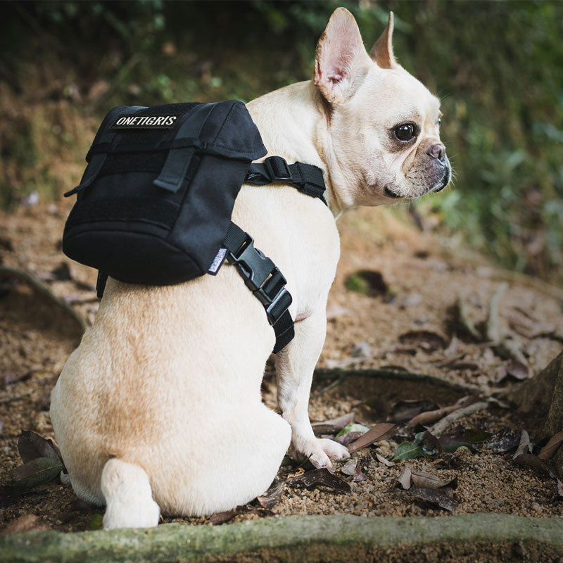 Eureka K9 Small Dog Backpack