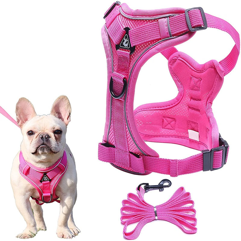 Reflective Choke Free Dog Harnesses