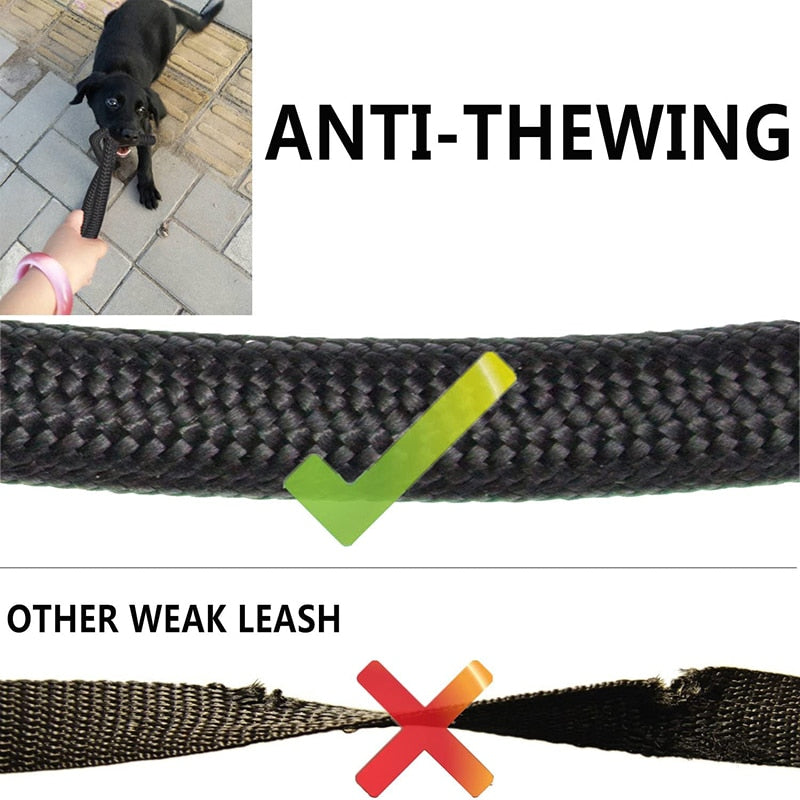 3 in 1 Heavy Duty Triple Dog Leash