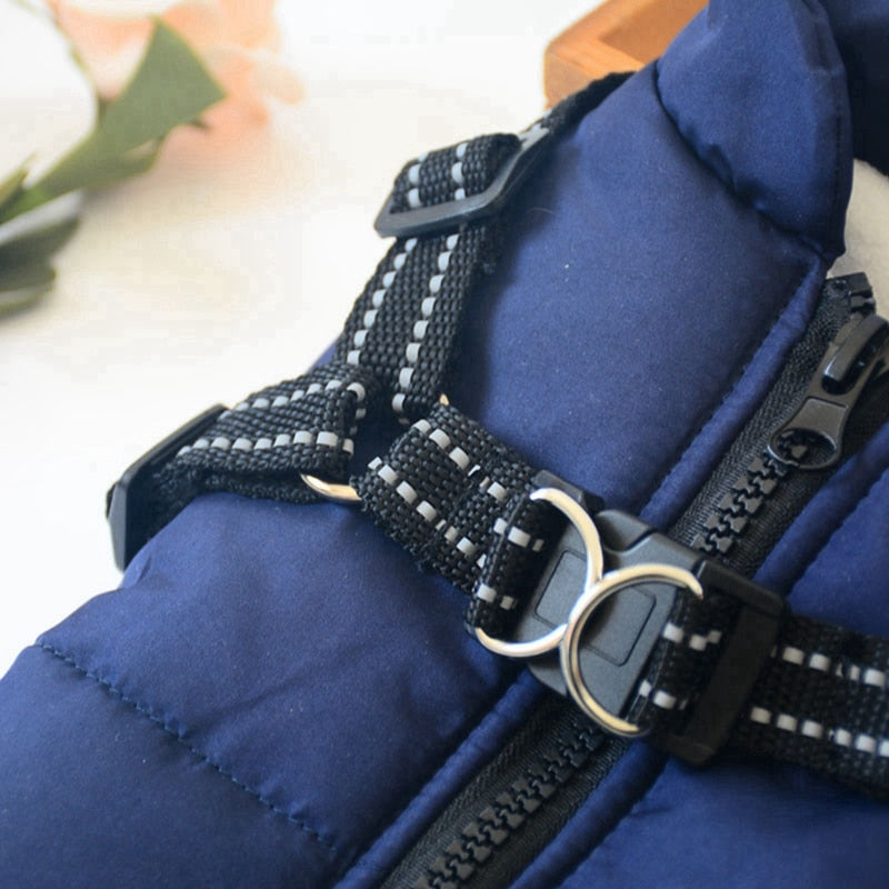 Large Dog Blue Jacket Harness