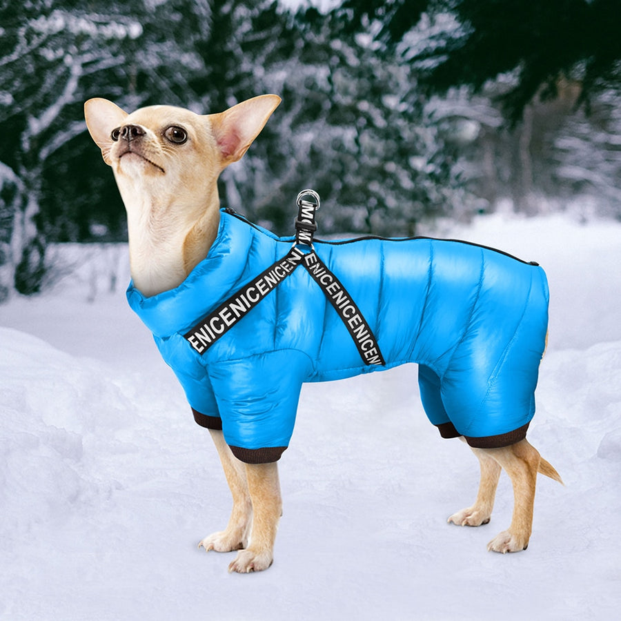 Super Blue Warm Dog Jacket