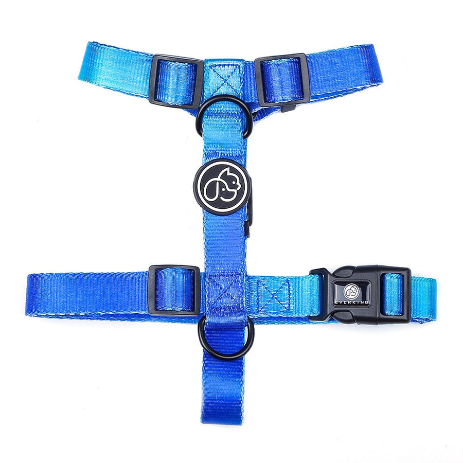 Gradient Dog Harness And Leash Set