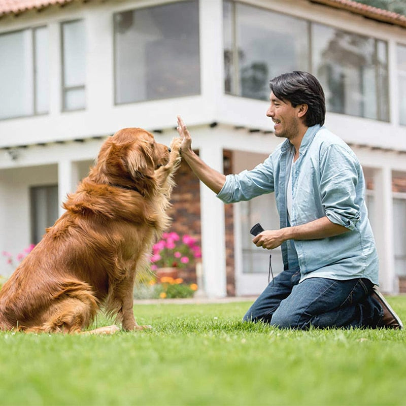 LED Flashlight Ultrasonic Dog Repeller