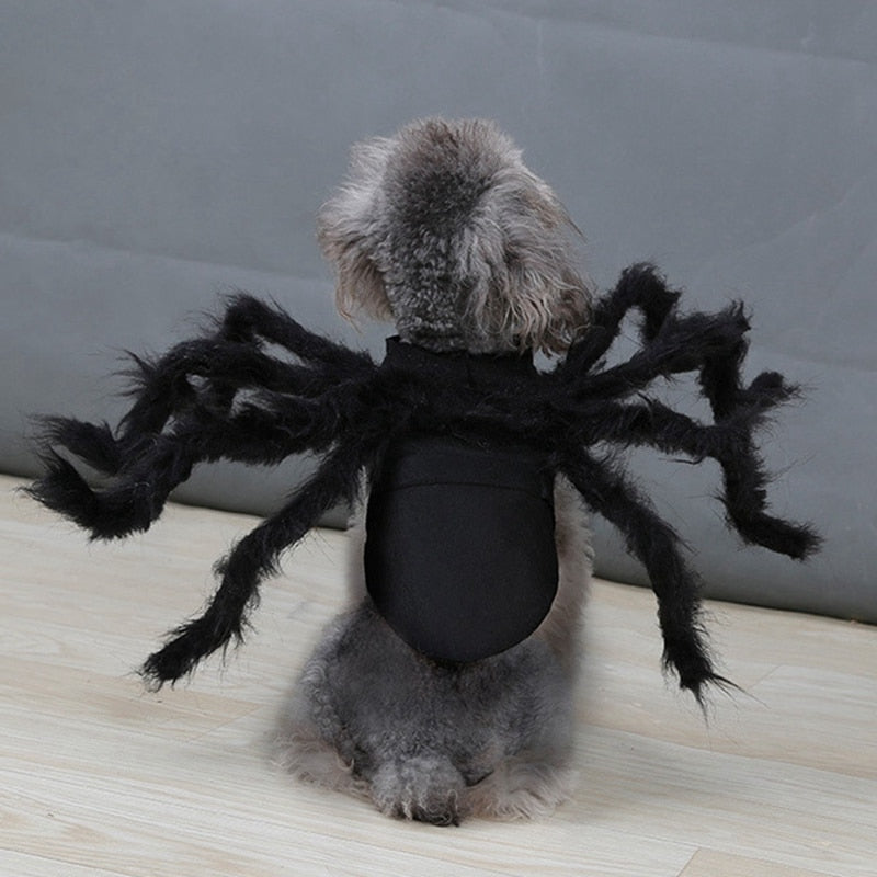 Halloween Black Spider Pet Costume