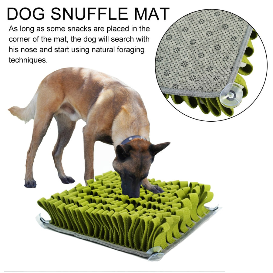 Unique Snack Feeding Dog Snuffle Mat