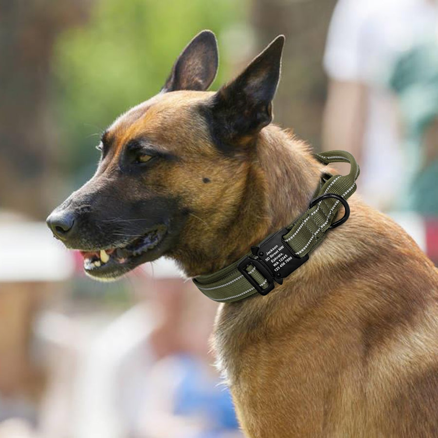 Green Military Tactical Dog Collar