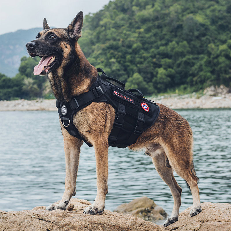 X Destroyer K9 Dog Harness